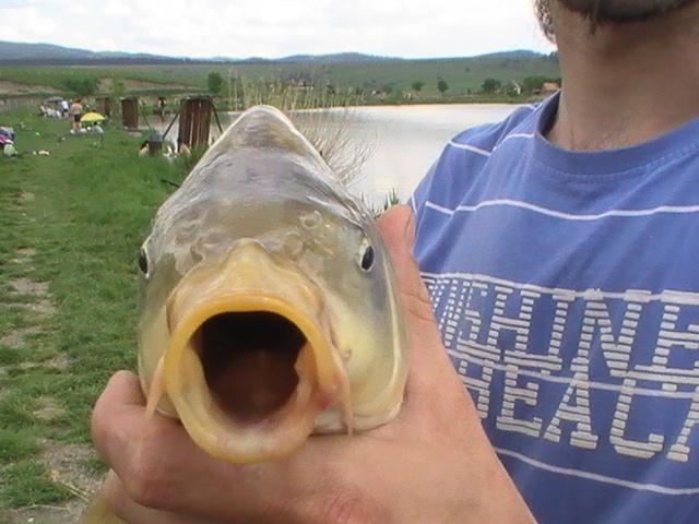 iarasi la pescuit - pic5417.JPG